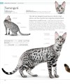 Фото The Cat Encyclopedia 12
