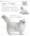 Фото The Cat Encyclopedia 16