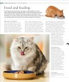 Фото The Cat Encyclopedia 22