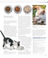 Фото The Cat Encyclopedia 23