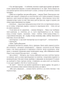 Фото Мова. Таємниці відьом 9