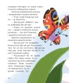 Фото Вистрибеньки сонячних зайчиків 5
