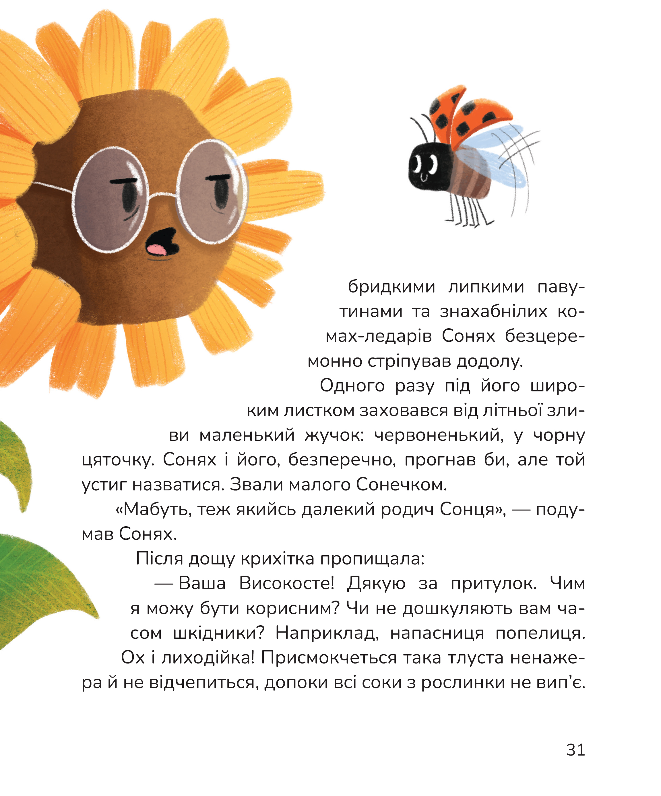 Hidden Product Image 8