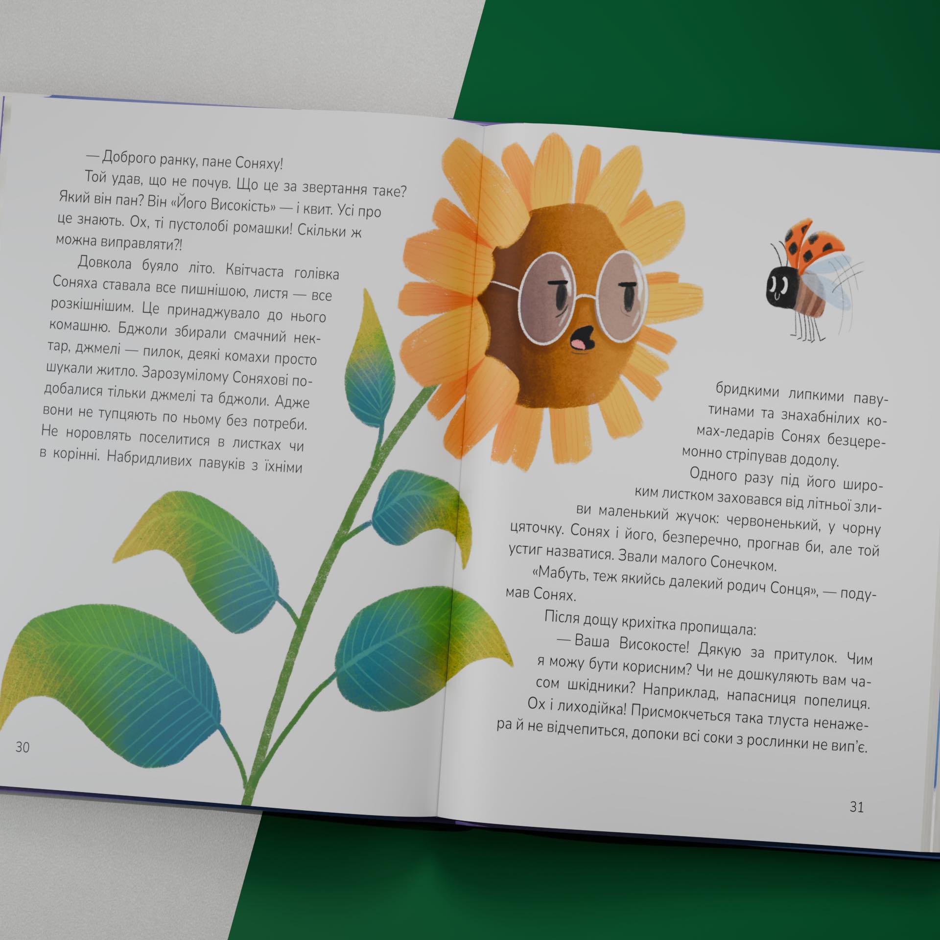 Hidden Product Image 14