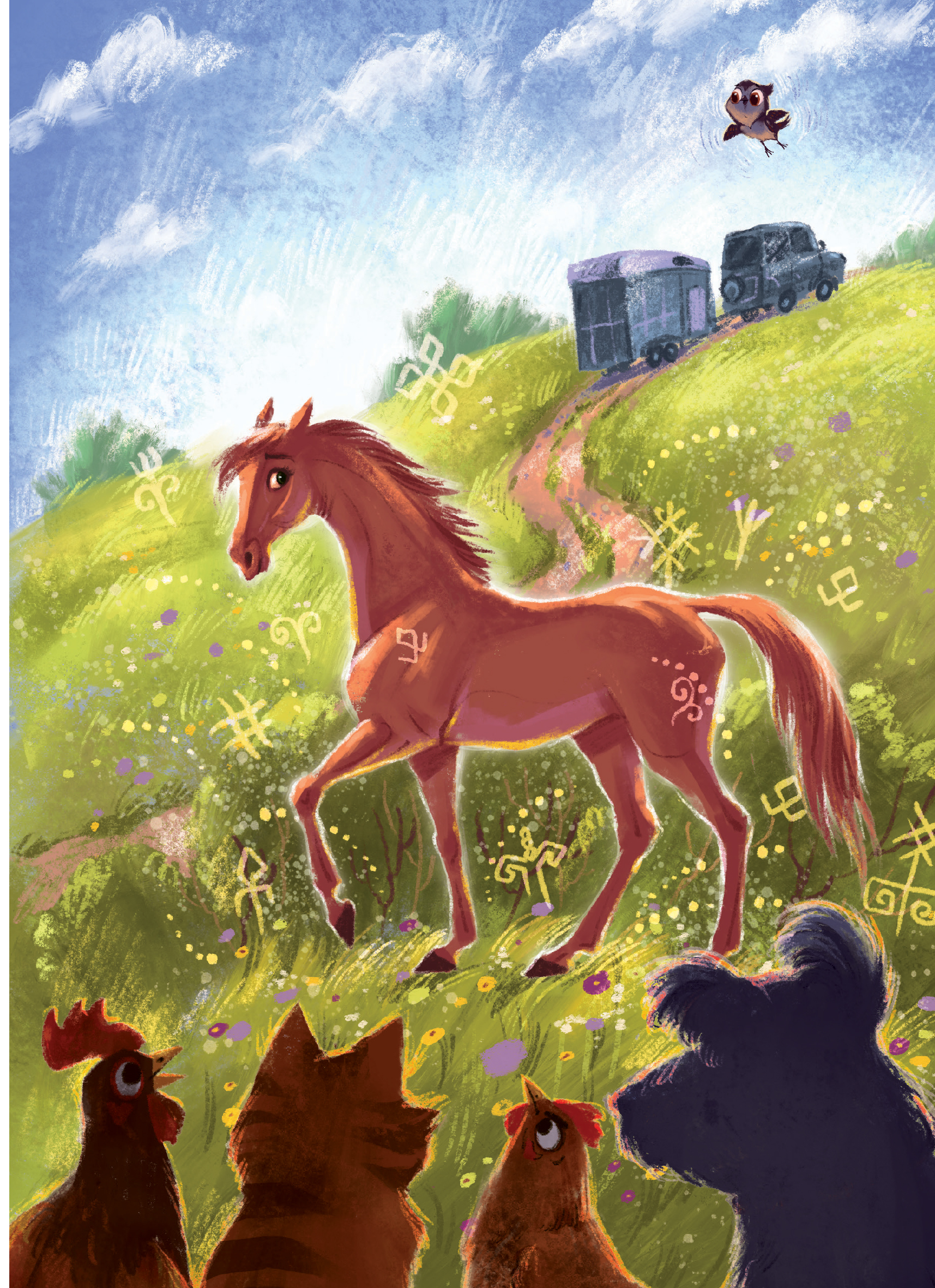 Hidden Product Image 10