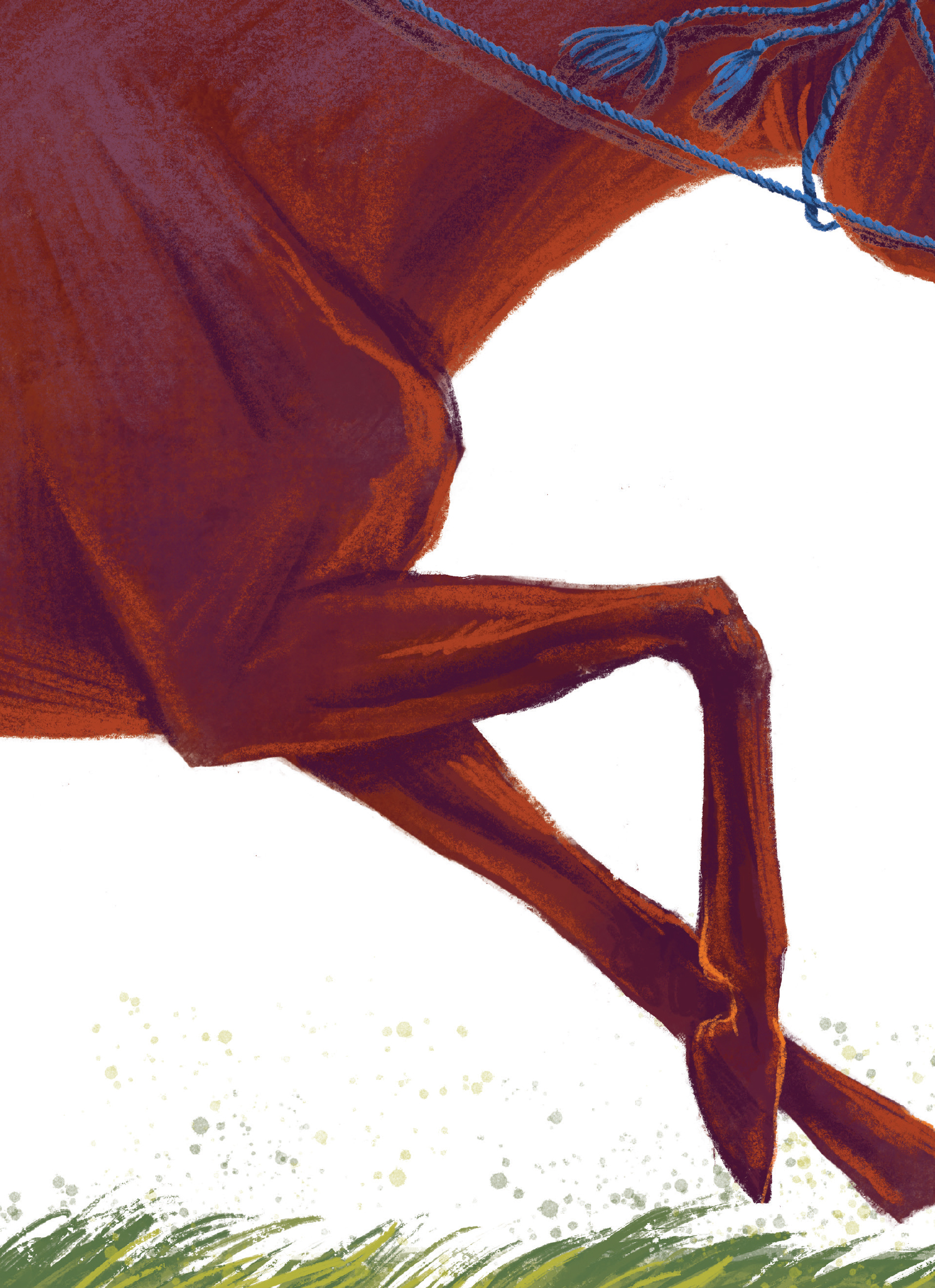 Hidden Product Image 11