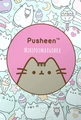 Мінірозмальовка Pusheen