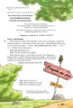 Фото Детективне агенція «На сіннику». Книга 1. І бе, і ме, і кукуріку 3