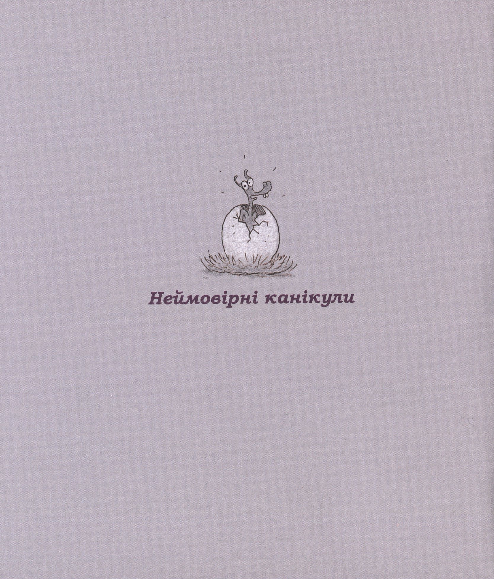 Hidden Product Image 13