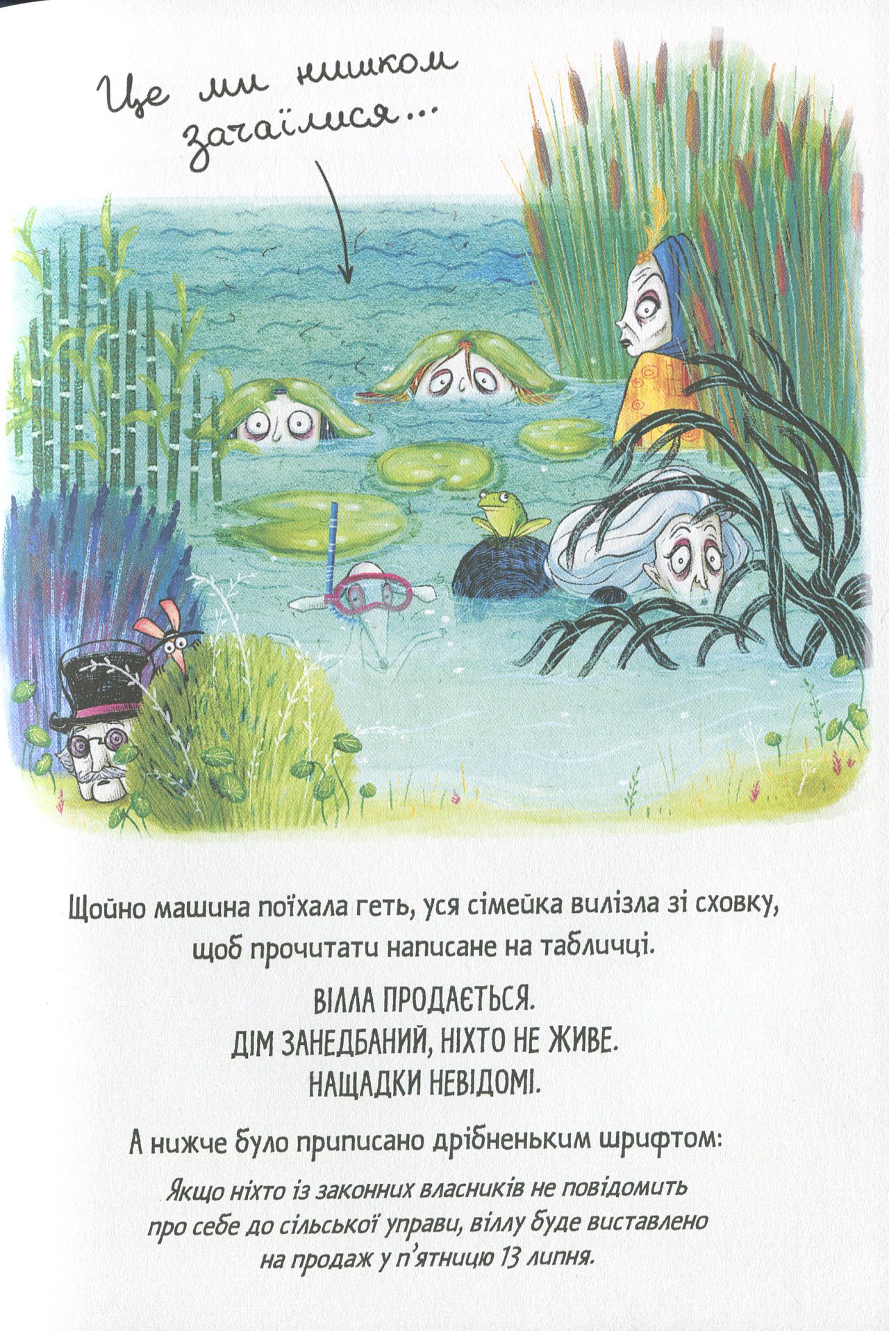 Hidden Product Image 15