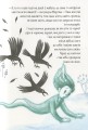 Фото Мортіна та примарний друг. Книга 3 12