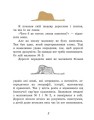 Фото Маленький принц 3