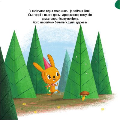 Hidden Product Image 10