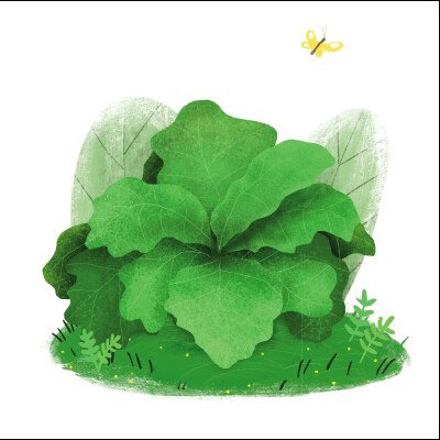 Hidden Product Image 9