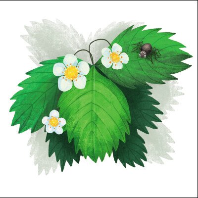 Hidden Product Image 11