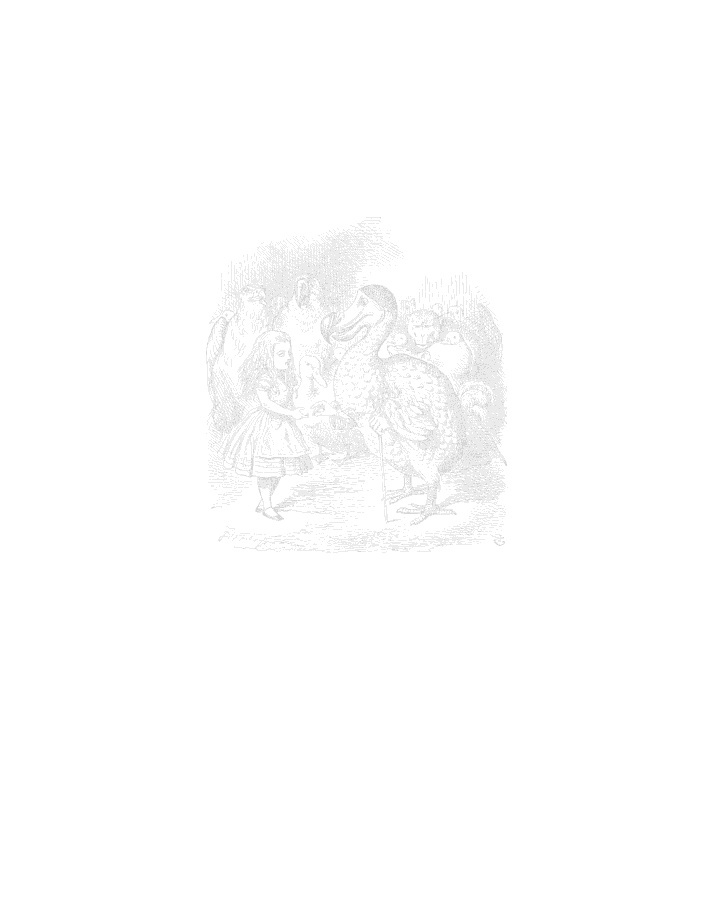 Hidden Product Image 13