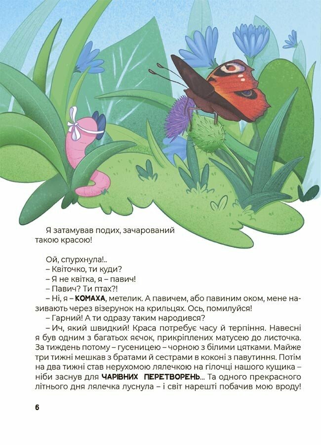 Hidden Product Image 7