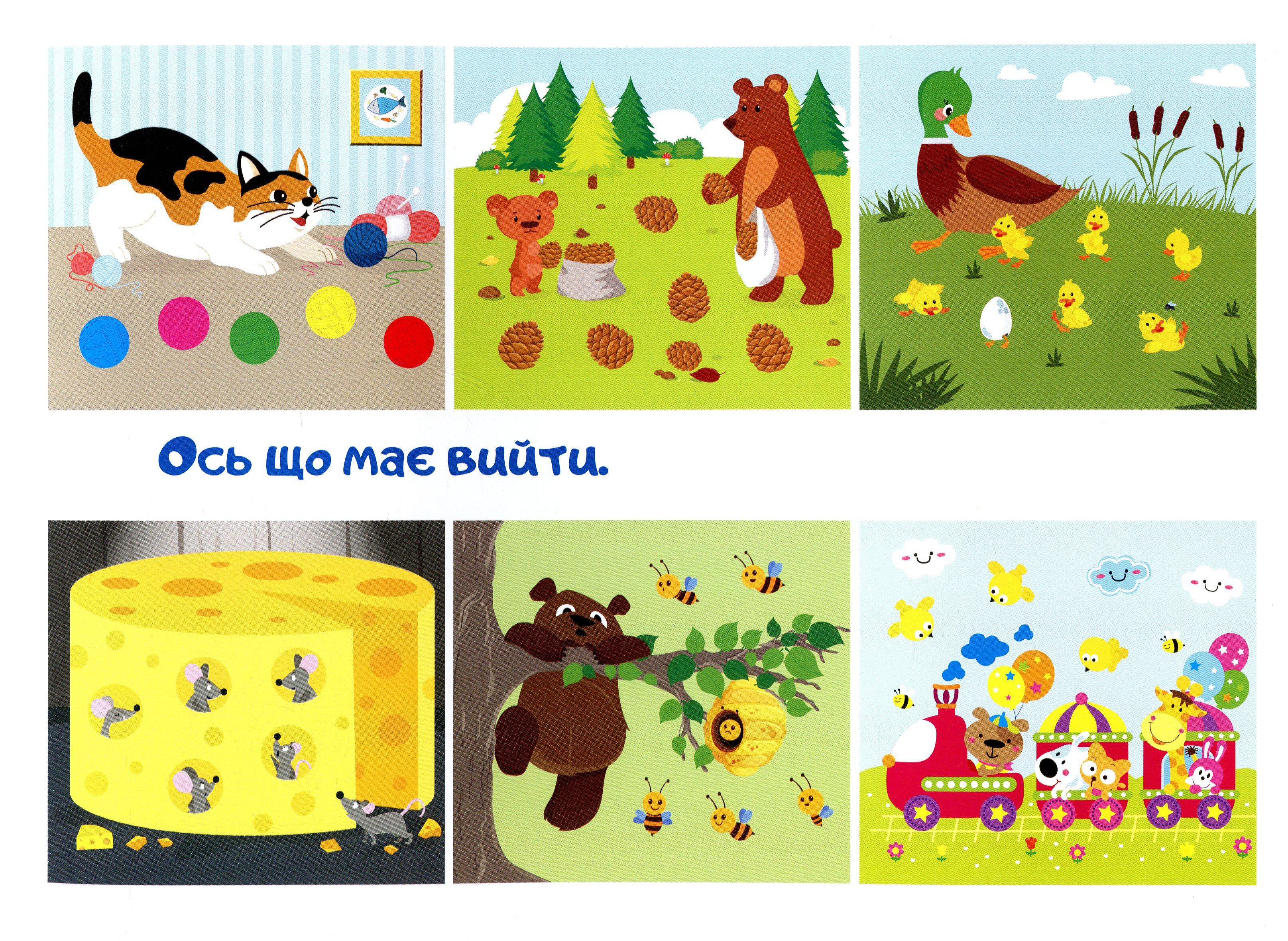 Hidden Product Image 6