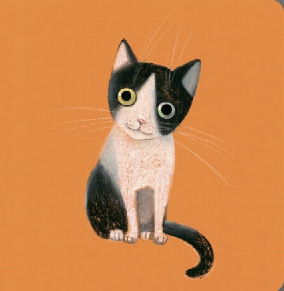 Hidden Product Image 8