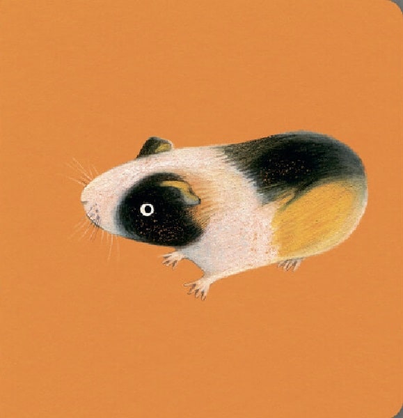 Hidden Product Image 10