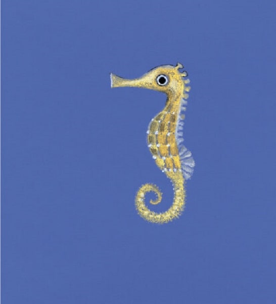 Hidden Product Image 6