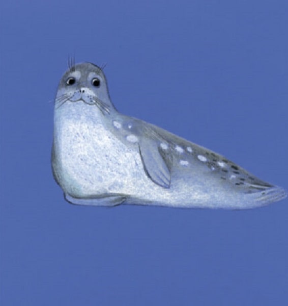 Hidden Product Image 10
