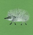 Фото Forest Animals 6