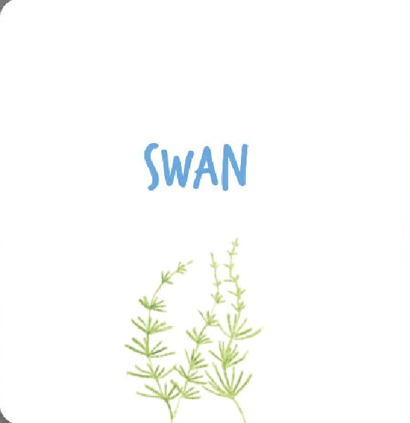 Hidden Product Image 7