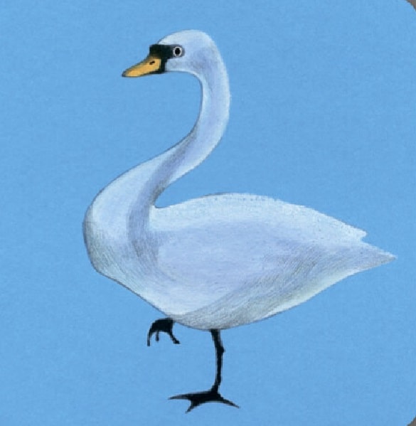 Hidden Product Image 8