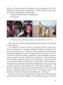 Фото Та невже! Книга особистих відкриттів 7
