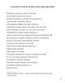 Фото Море вночі стає м’язом серця 8