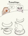 Фото Котюрморт 7