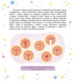 Фото Малечі про інтимні речі 9