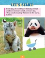 Фото Baby Animals 2