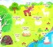Фото Наліпки-навчалки. Дикі тварини. Wild Animals 2