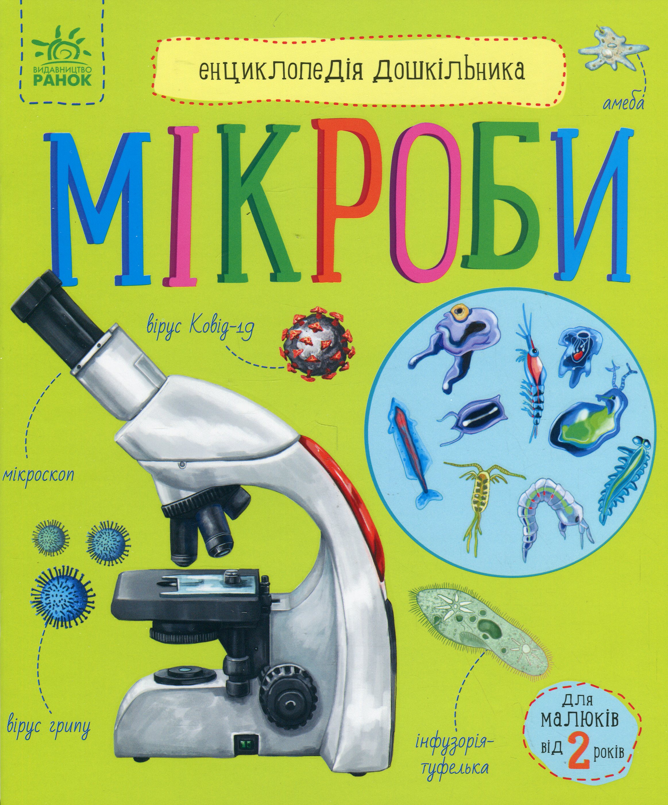 Main Product