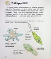 Фото Енциклопедія дошкільника. Мікроби 9