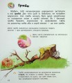 Фото Енциклопедія дошкільника. Мікроби 13