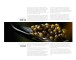 Фото Taste Ukraine 10