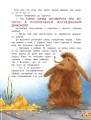 Фото Чарівний відпочинок єнотика Германа 5