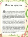 Фото Казки. Шарль Перро 5