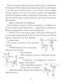 Фото Маленький принц 3