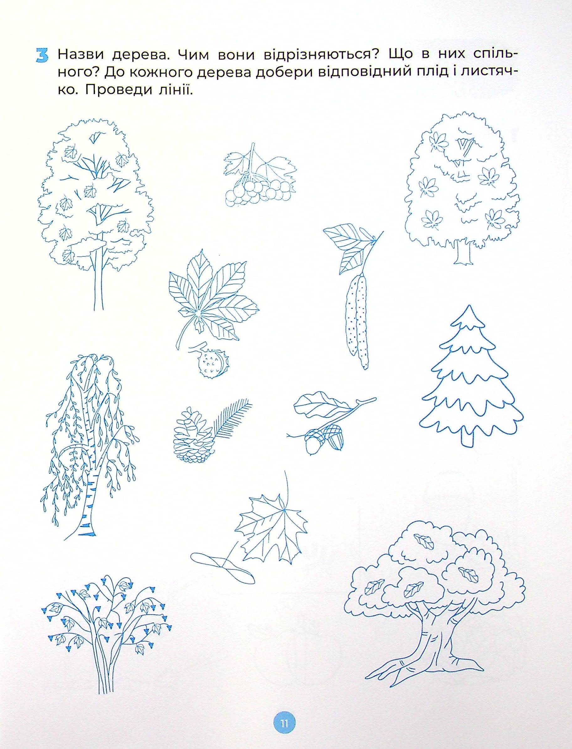 Hidden Product Image 12