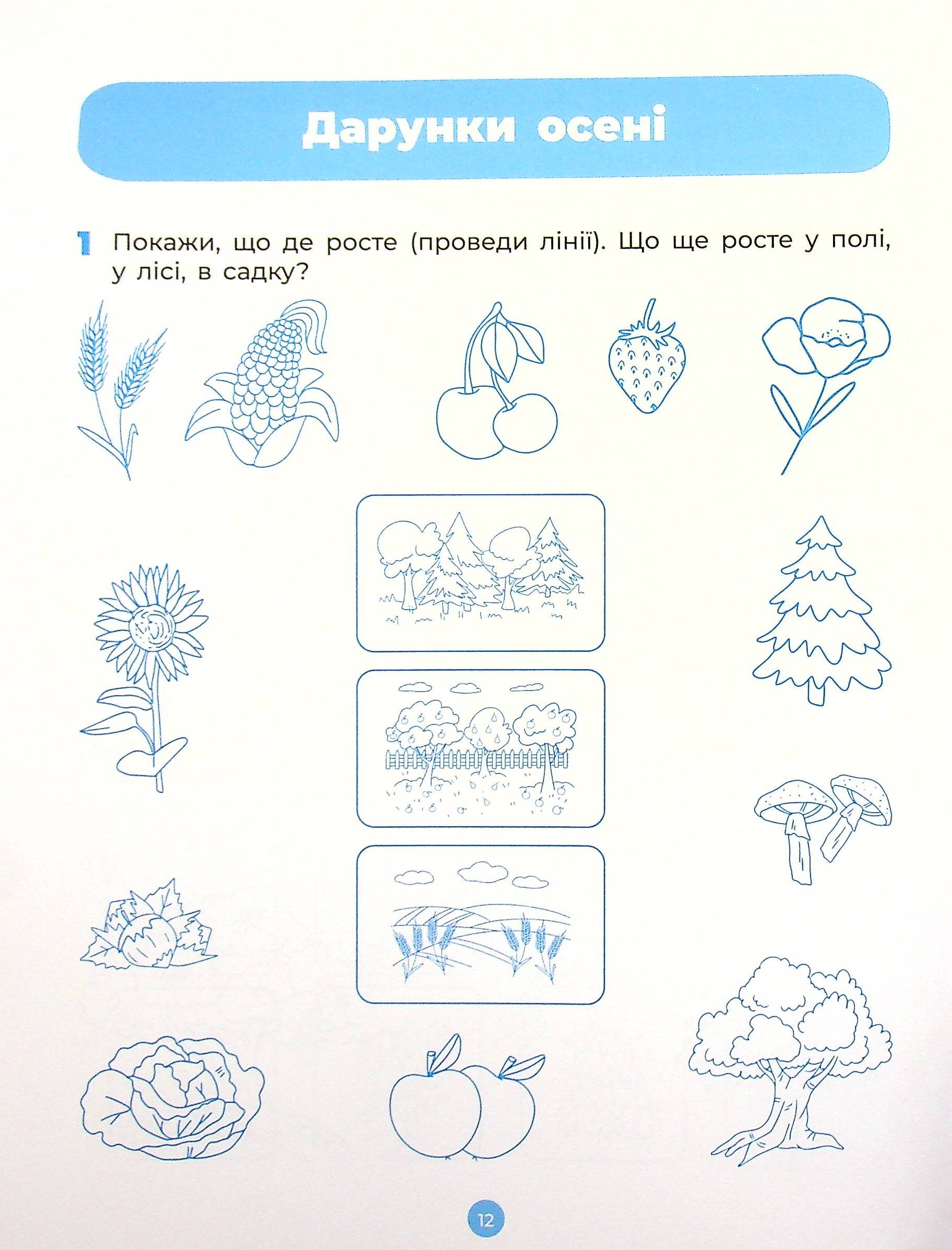 Hidden Product Image 13