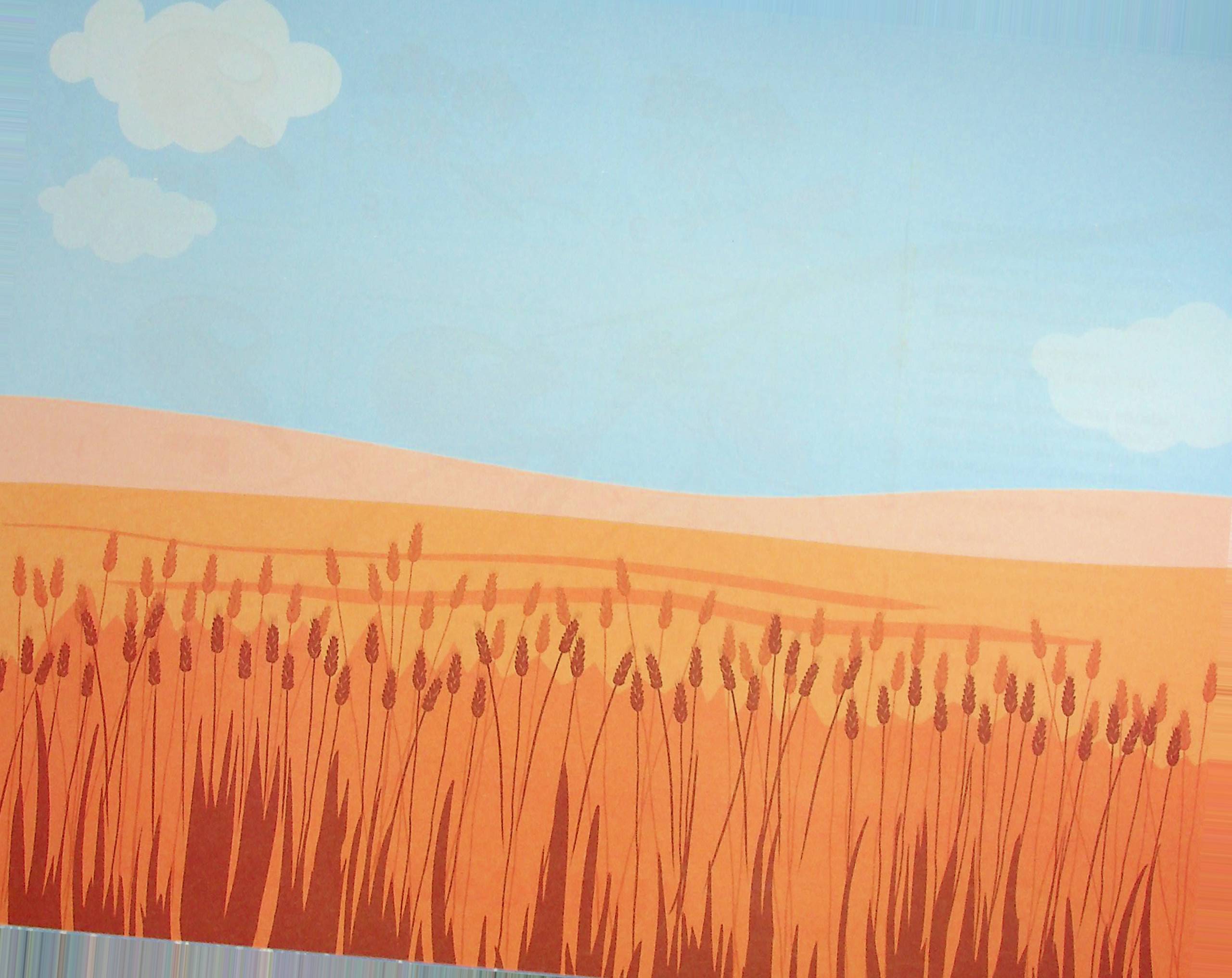 Hidden Product Image 13