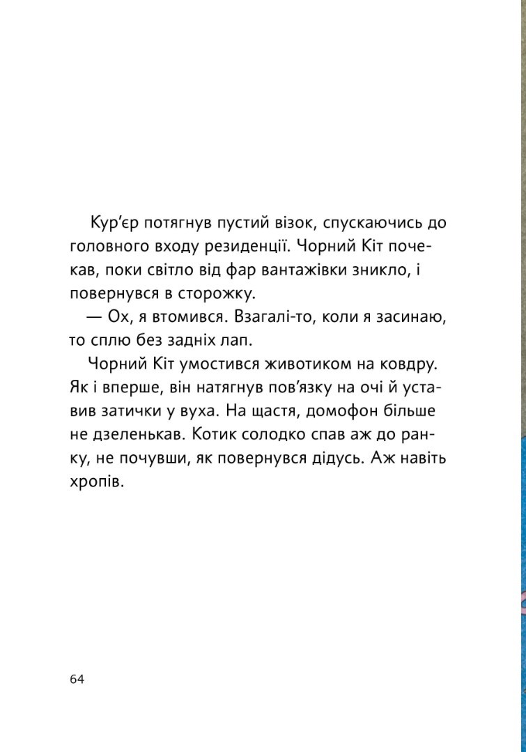 Hidden Product Image 8