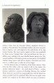 Фото Yuval Noah Harari Box Set 3