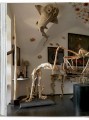Фото Cabinet of Curiosities 4