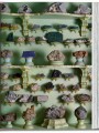 Фото Cabinet of Curiosities 7