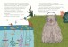 Фото Джимсик у пошуках друга 4